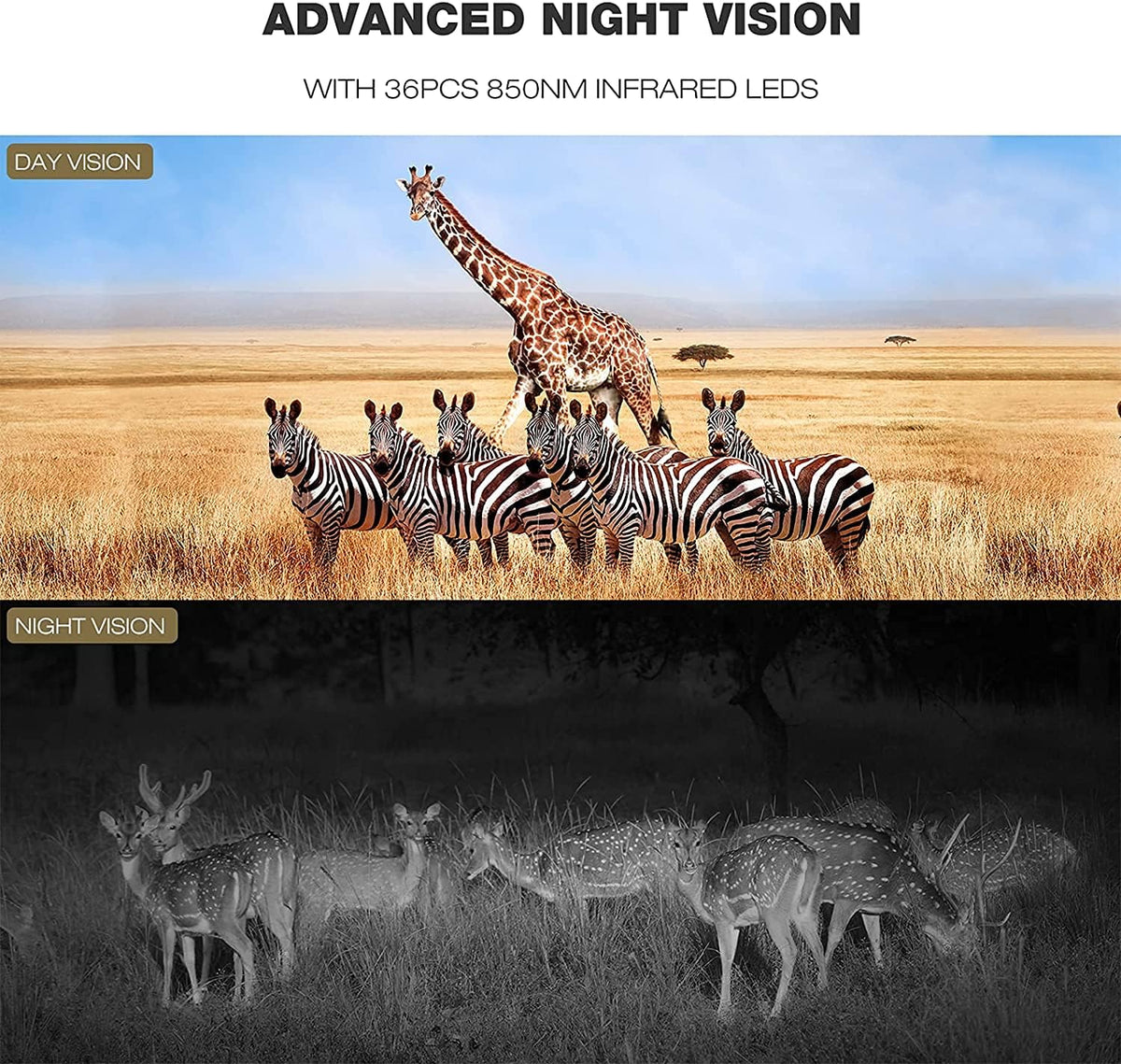 4K Trail Camera with 940nm No Glow Night Vision O130