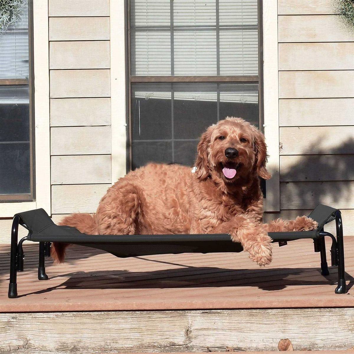 Elevated Dog Bed with Washable Mesh R603668