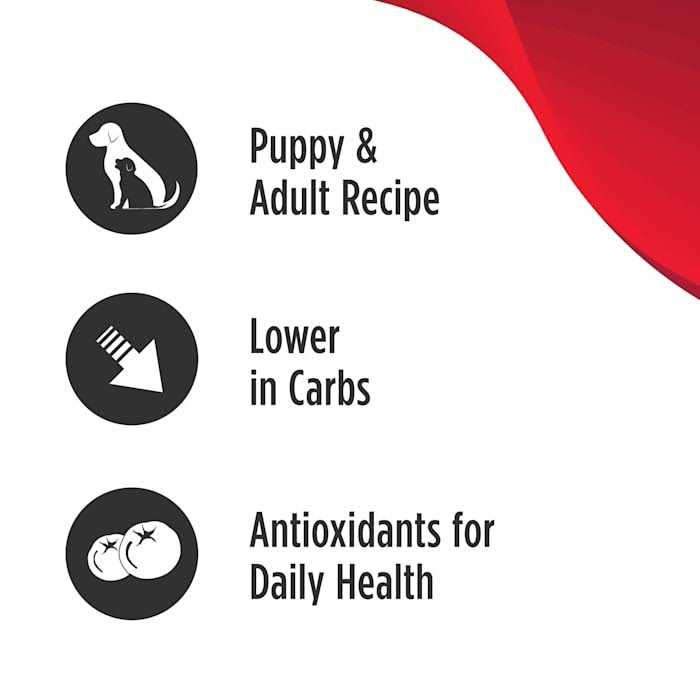 Grain Free Limited Ingredient Turkey Dog Food V6099