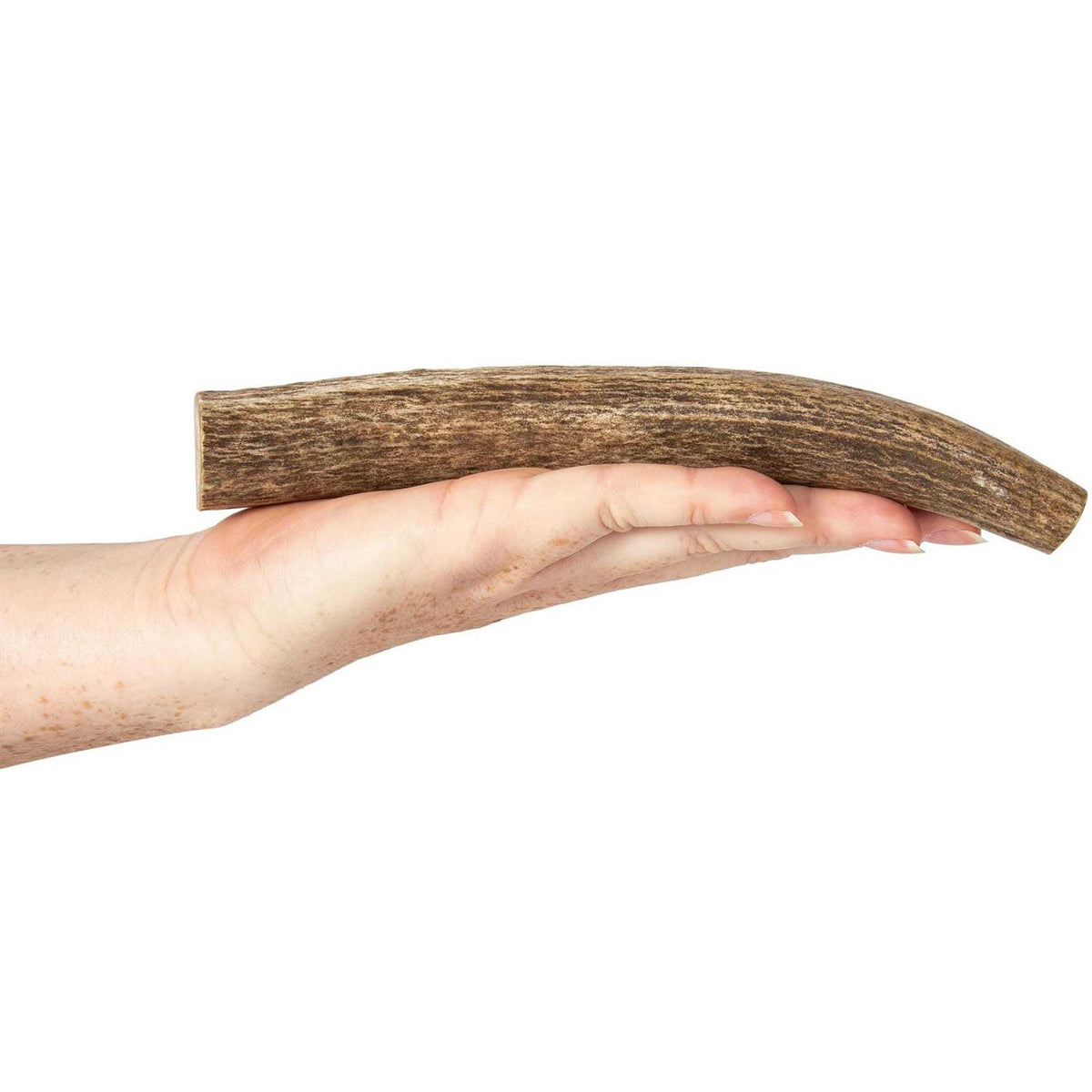 Elk Antlers for Dogs Y20765