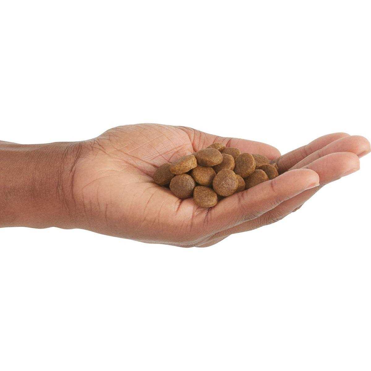 Poultry Dry Dog Food M15898