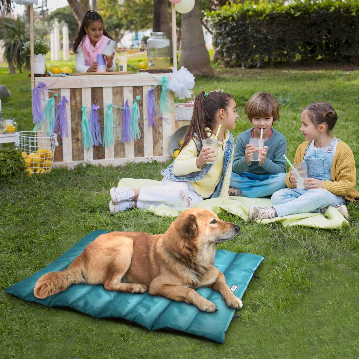 Portable Waterproof Roll Up Dog Mat Bed U227310