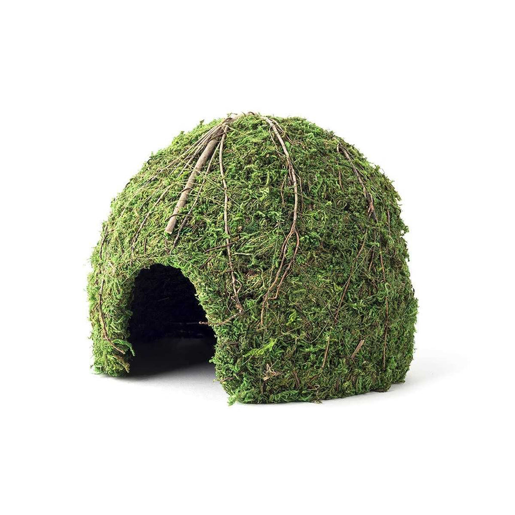 Green Mossy Dome T245