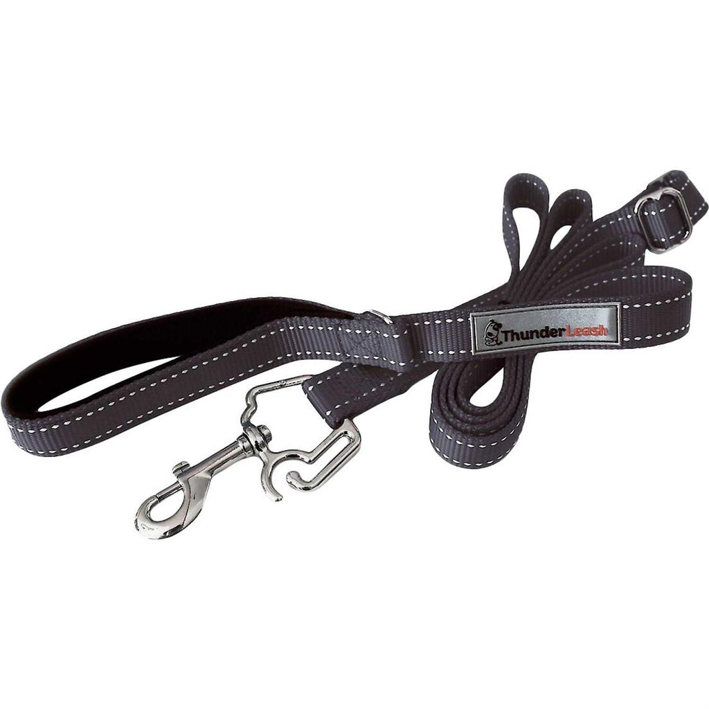 Dog Leash J86579
