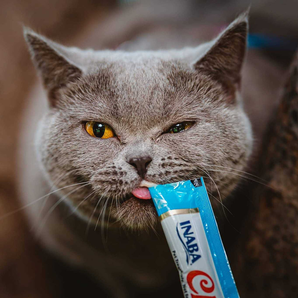 Lickable Tuna and Chicken Cat Treats X2103