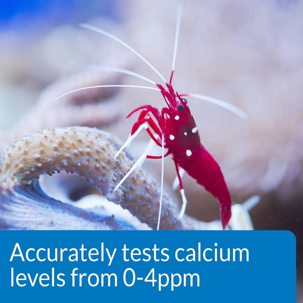 Calcium Test Kit Q934