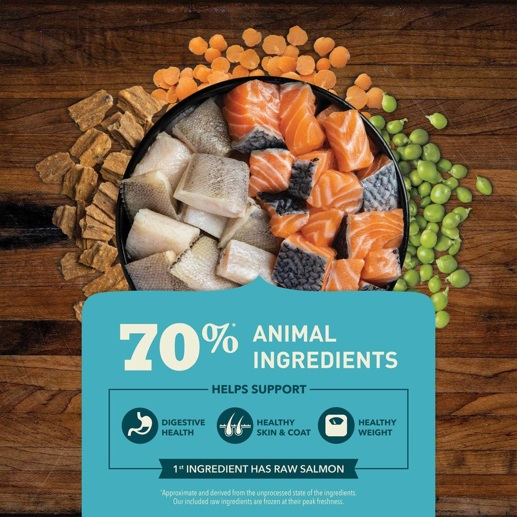 Wild-Caught Salmon Dry Dog Food F44519