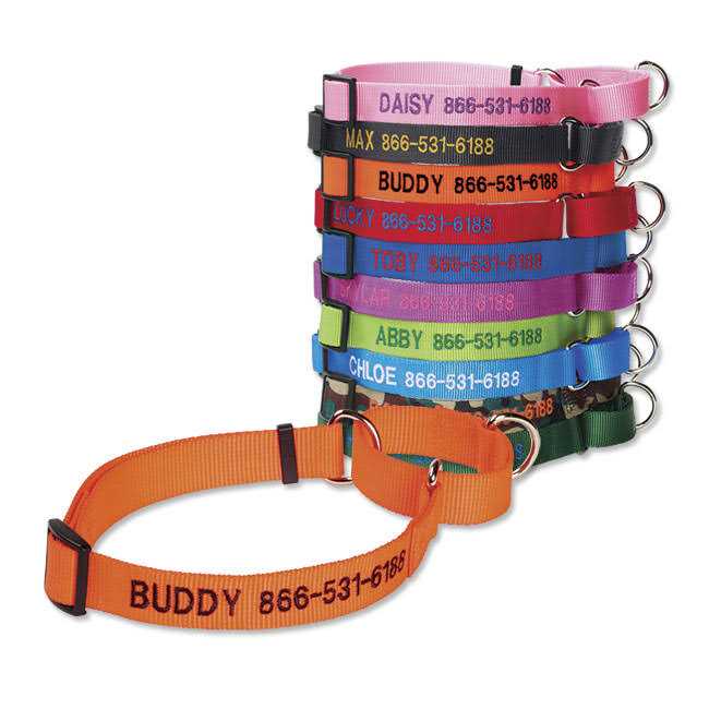 Dog’S Martingale Collar U5933