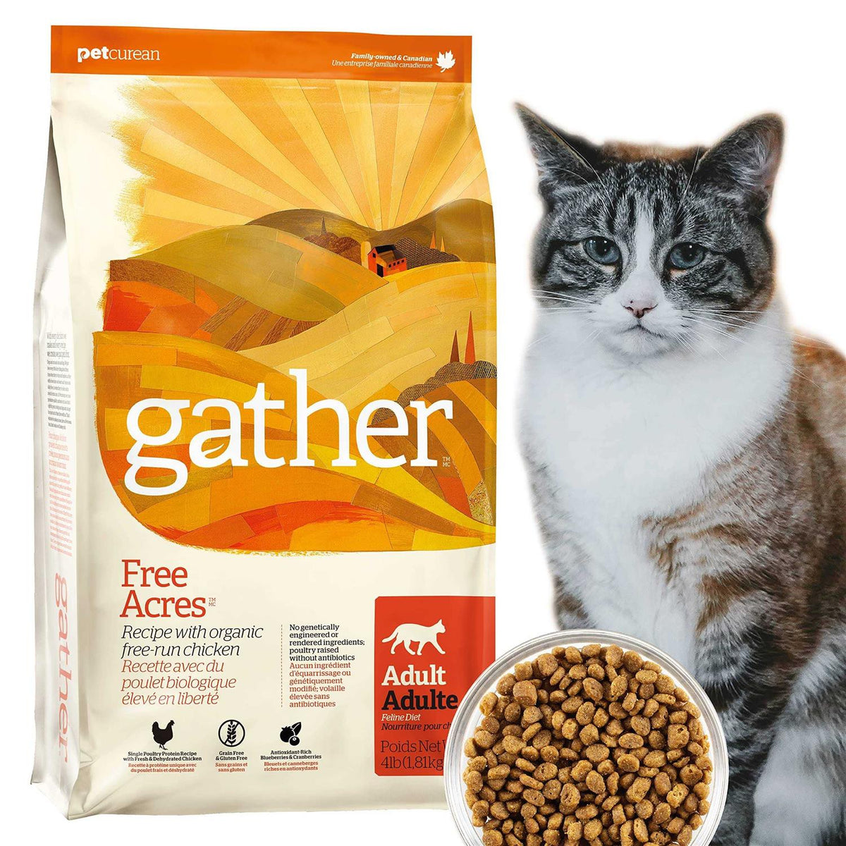 Organic Free-Run Chicken Dry Cat Food N30749