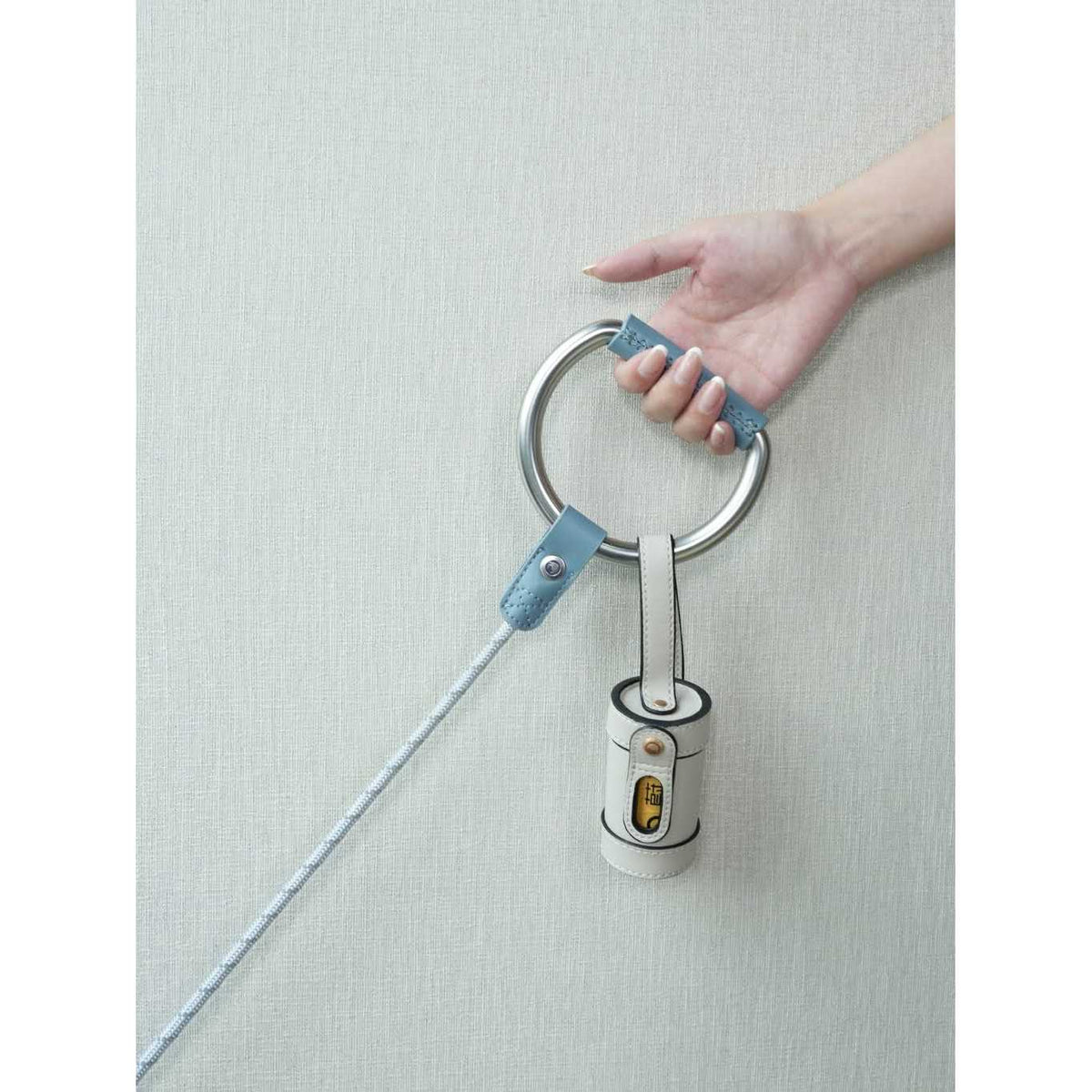 Pet Harness and Leash Set U7363