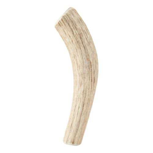 Whole Wild Elk Antler I455