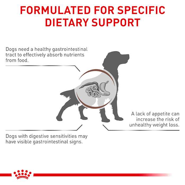 Veterinary Diet Gastrointestinal Dry Dog Food H858