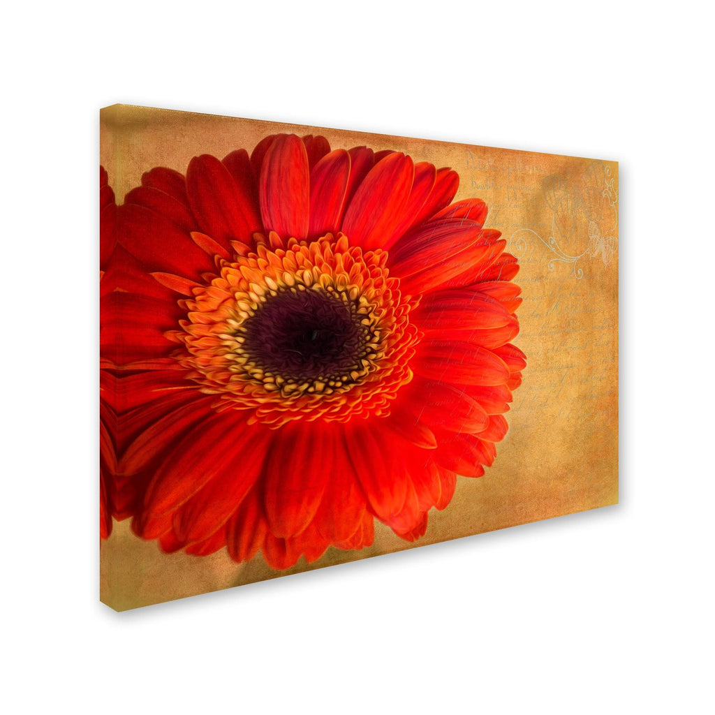 Canvas F6759