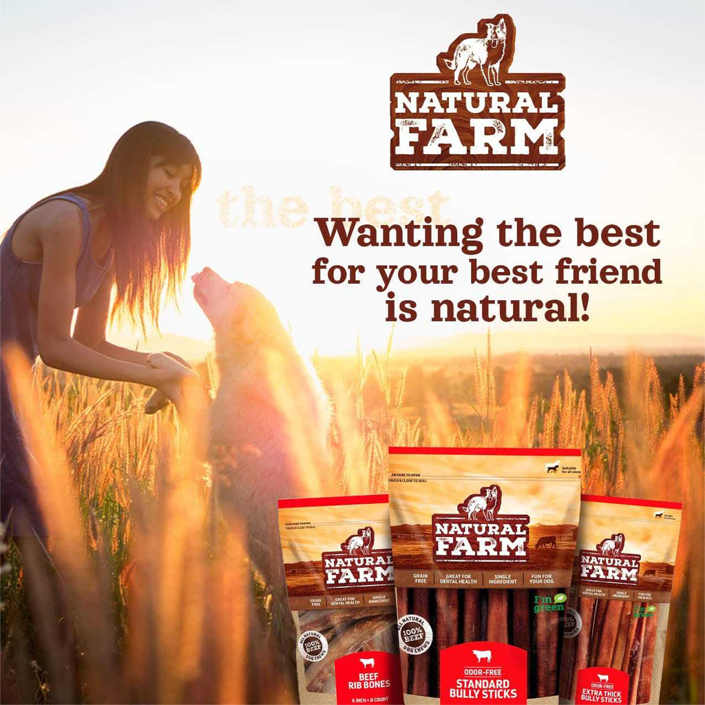 Beef Trachea Dog Chews D491966