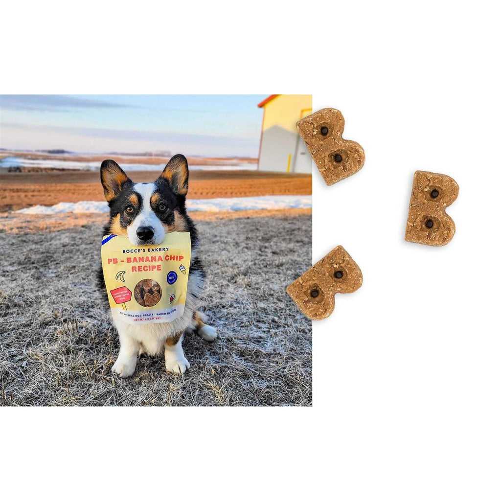 PB Banana Chip Soft & Chewy Dog Treats B268155