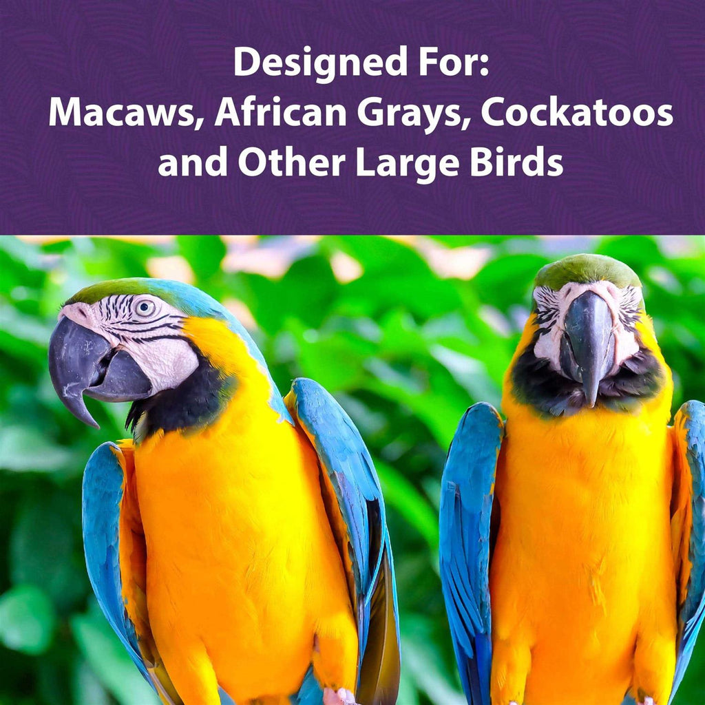 Large Bird Food Y444