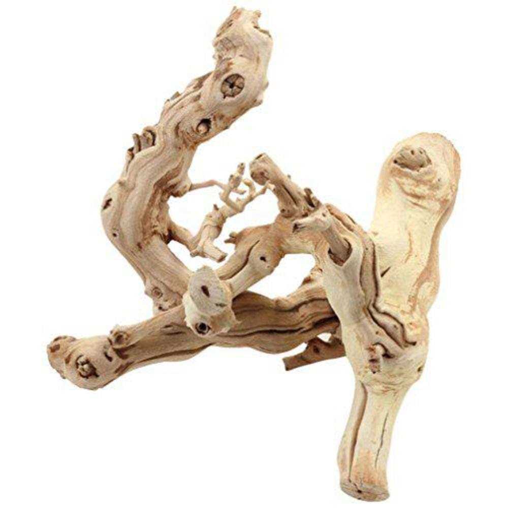 Grapewood Branch I67603