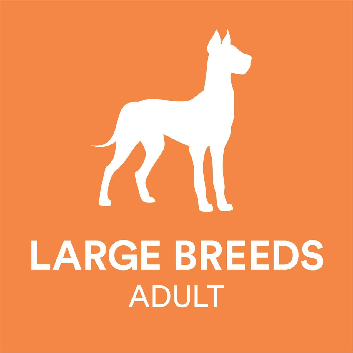 Chicken & Brown Rice Recipe Dry Dog Food B152558