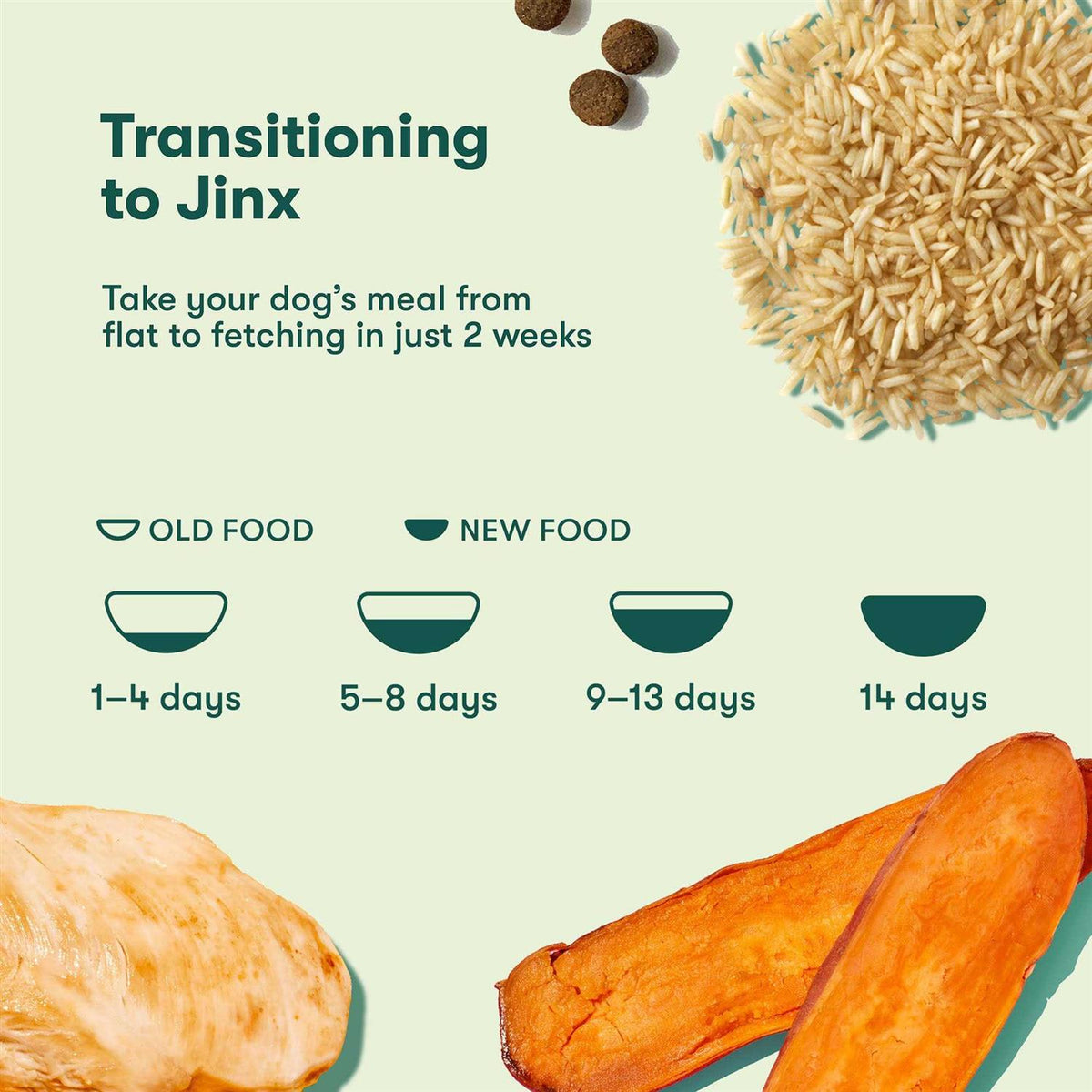 Brown Rice & Sweet Potato Dry Dog Food G237539