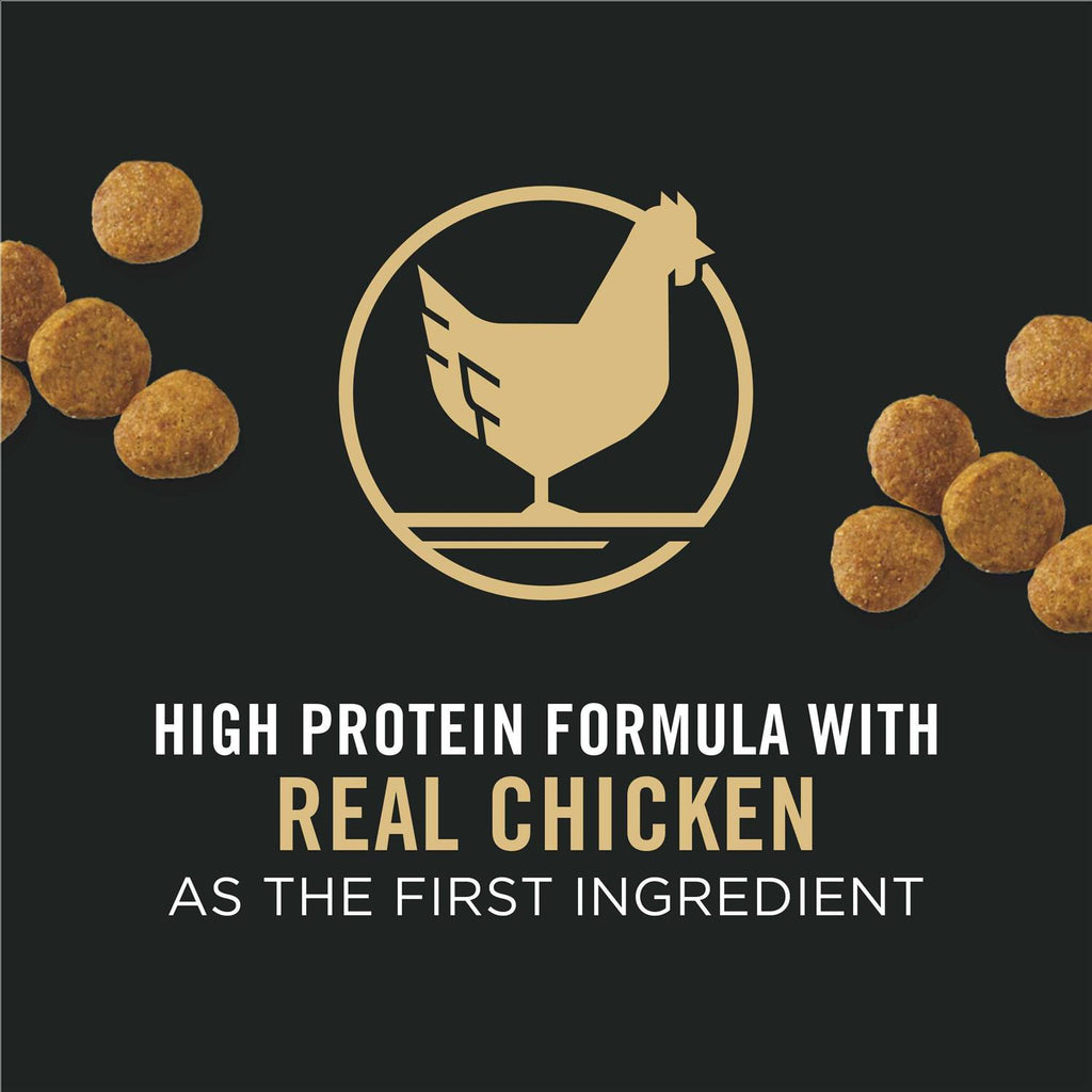 Chicken & Rice Formula Dry Puppy Food C61126