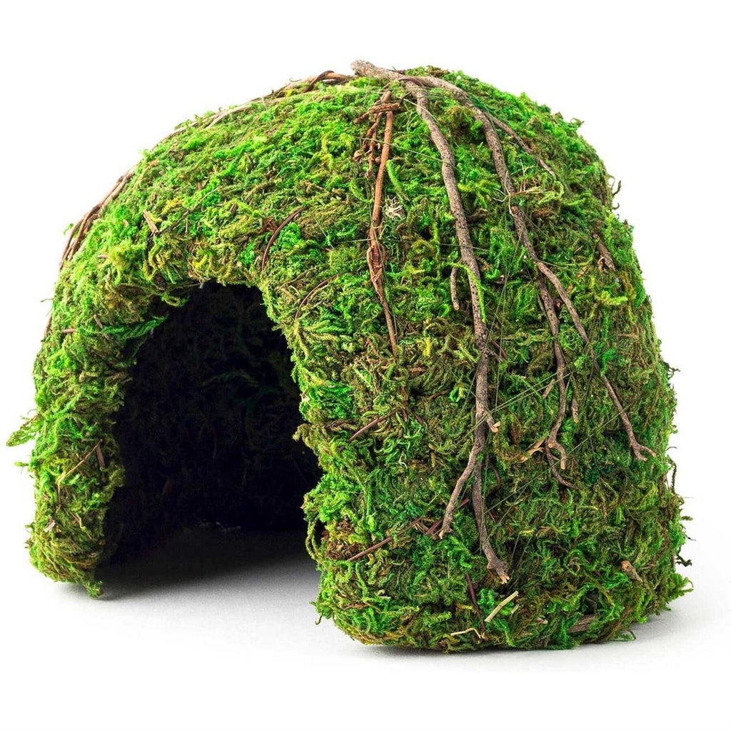 Green Mossy Dome T245