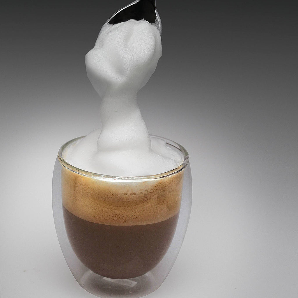 Silver/Black 12 oz Milk Frother W65243