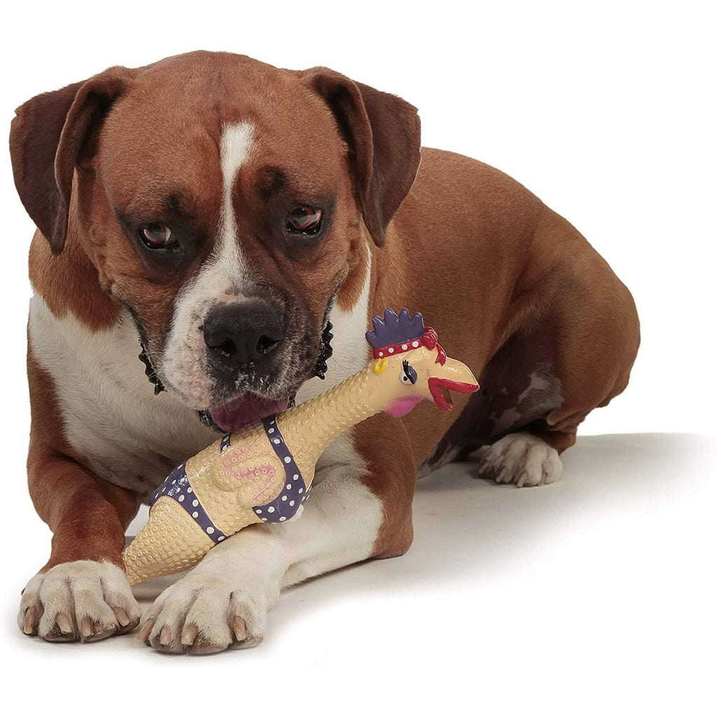 Dog Toy Y35613
