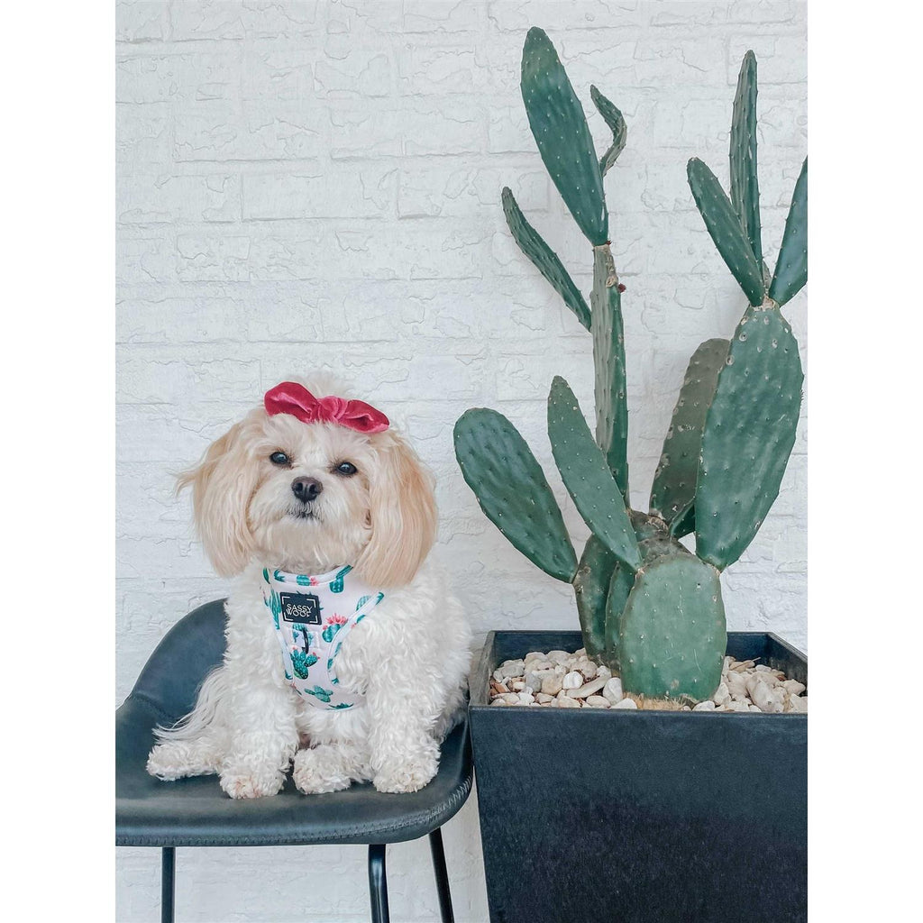 Adjustable Dog Harness D45927