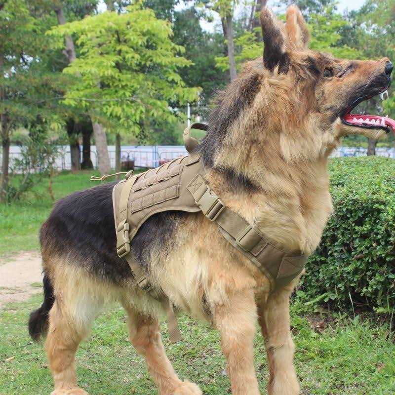 2X Metal Buckle Dog Harness with Handle I48588