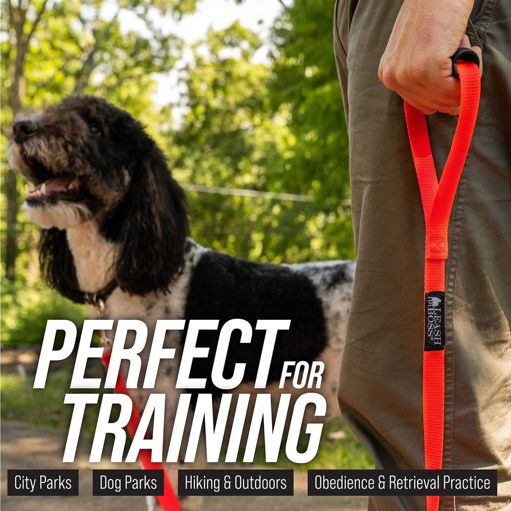 Dog Leash O45979