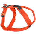 Dog Harness O532781