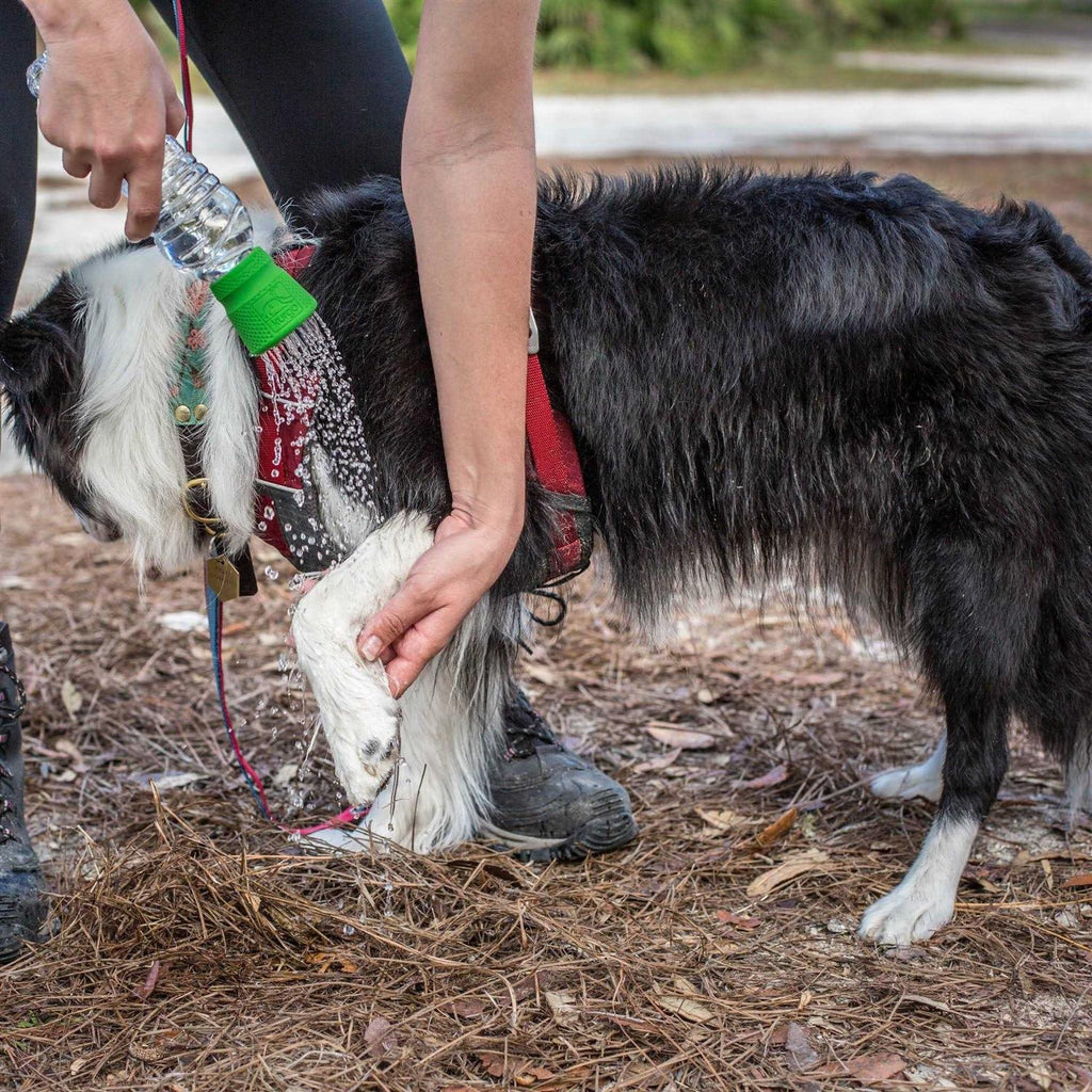 Dog Travel Shower I650