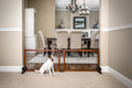 2-in-1 Free Standing Hardwood Pet Gate S7640