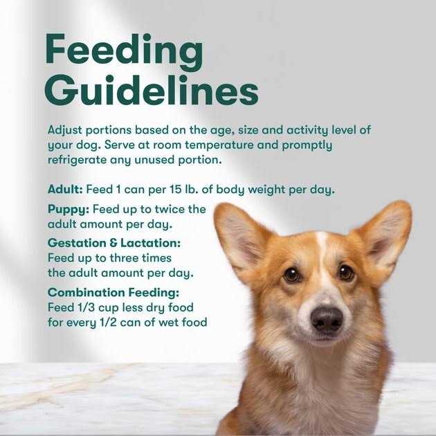 Grain-Free Sweet Potato Wet Dog Food N486