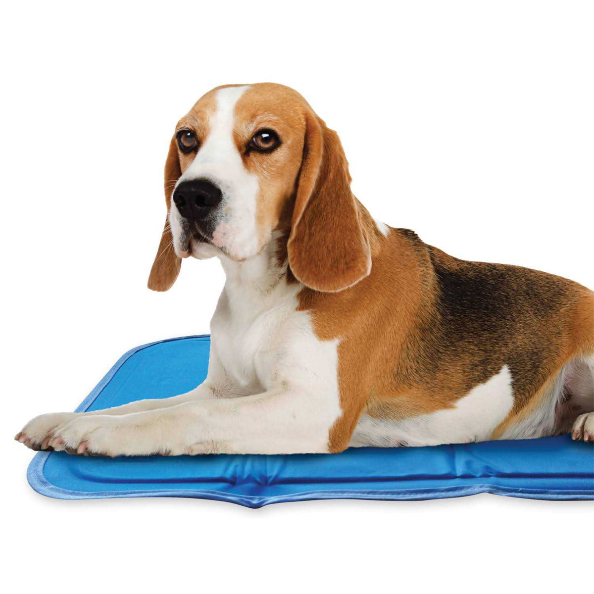 Cool Pet Pad F2930