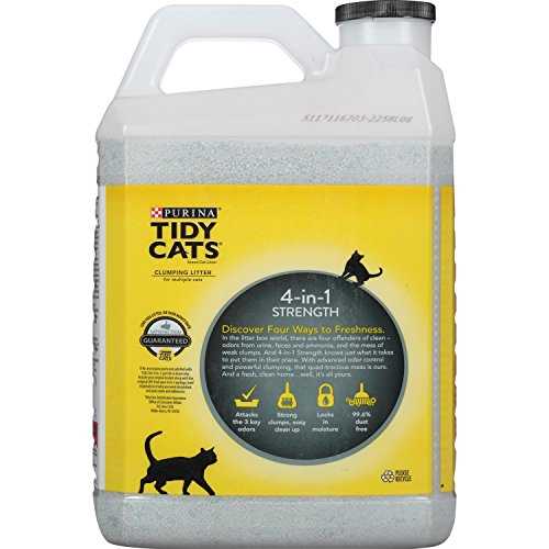 Scented Clumping Clay Cat Litter 20-lb Case of 2 L864527