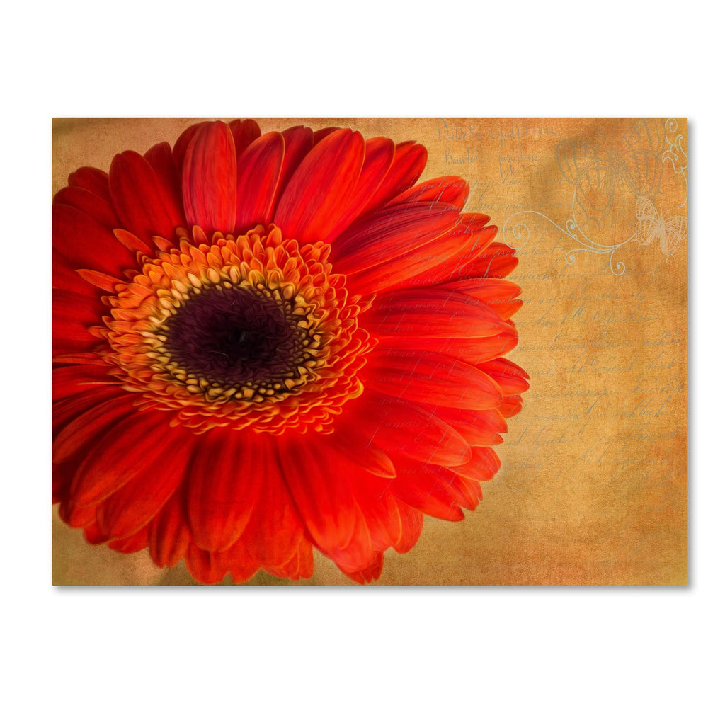 Canvas F6759