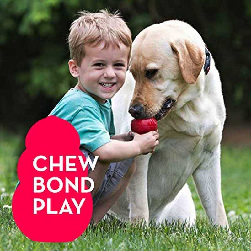 21 Pack Small Dog Chew Toys with Rope Toys Q651523
