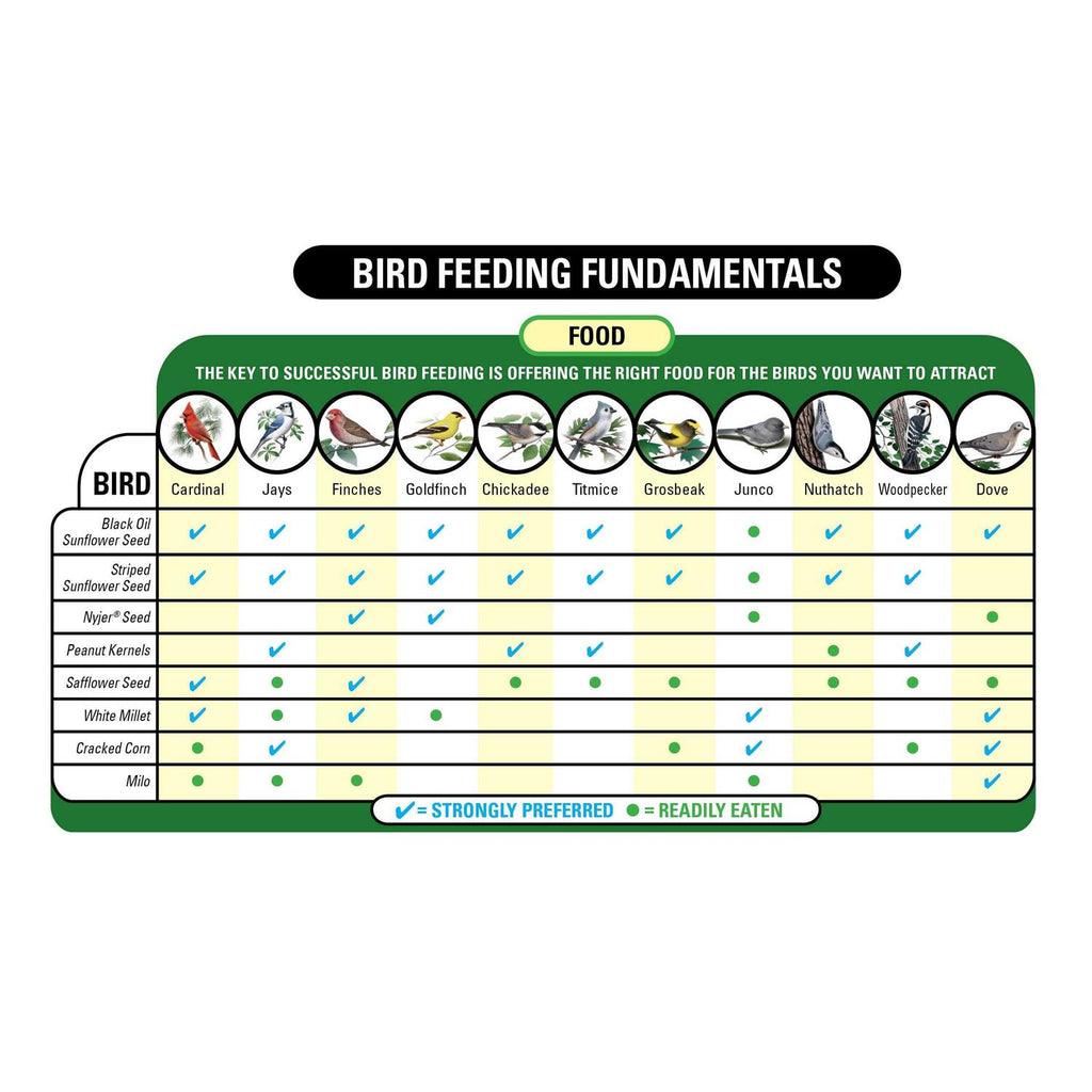 Nut & Fruit Wild Bird Food Z4718