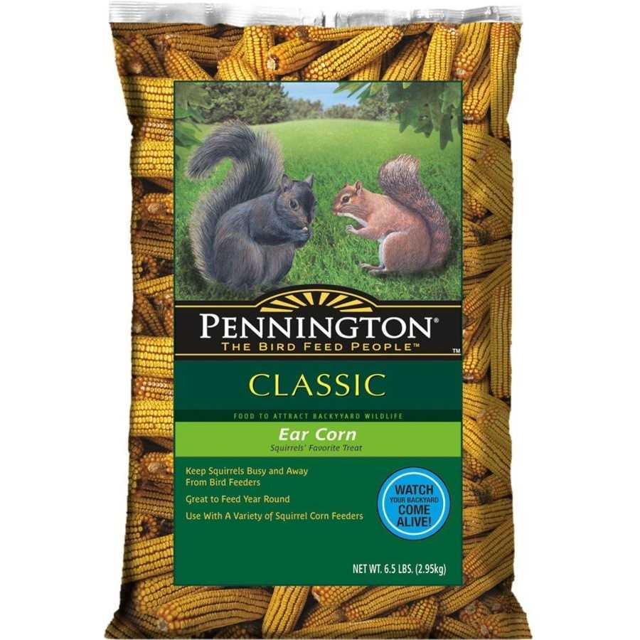 Whole Ear Corn Squirrel and Critter Feed K8292