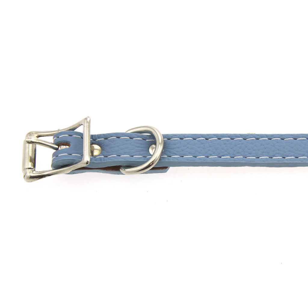 Light Blue Leather Dog Collar Z2006