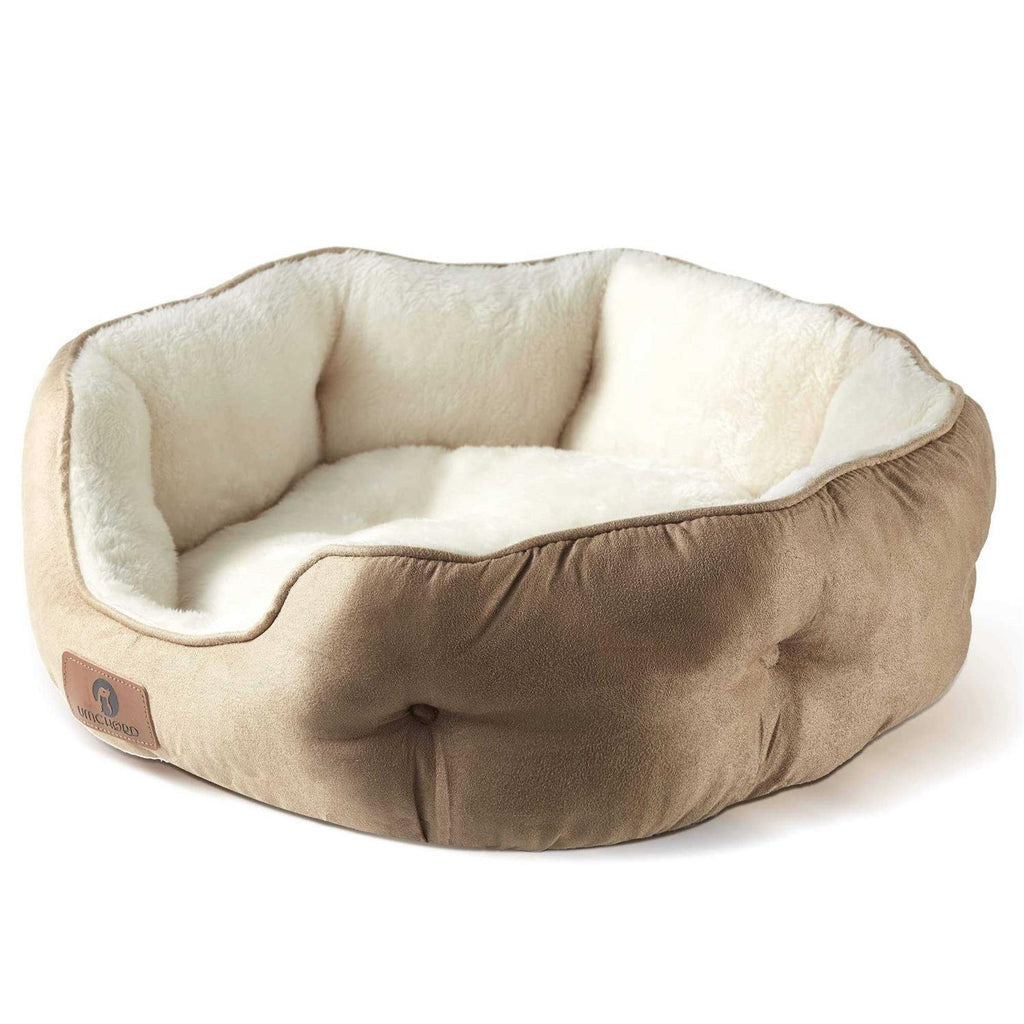 Small Dog Bed N596279