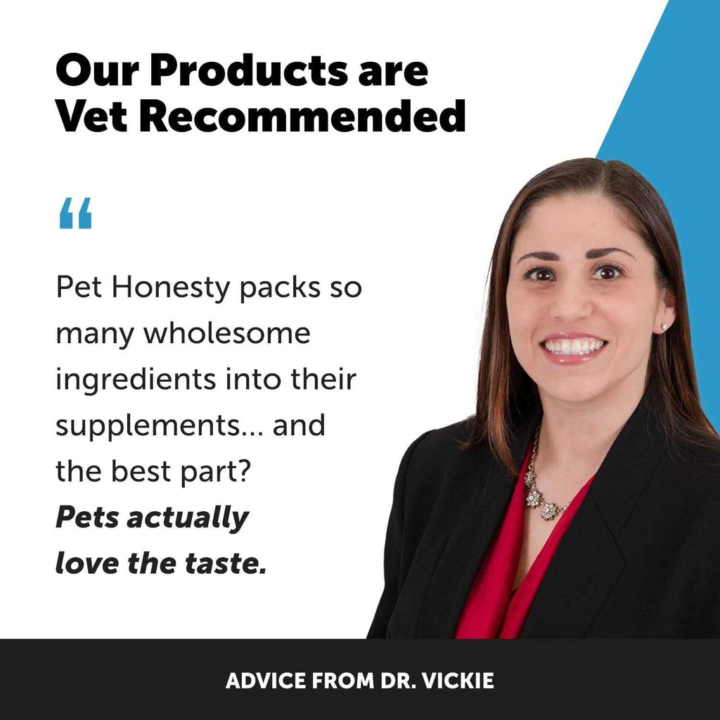 Digestive Skin and Coat Cat Supplement B122964