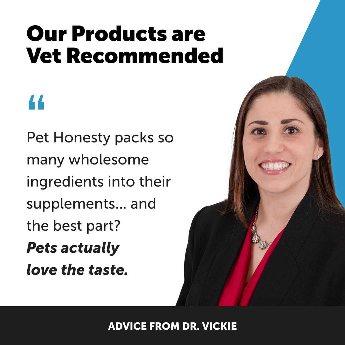 Digestive Skin and Coat Cat Supplement B122964
