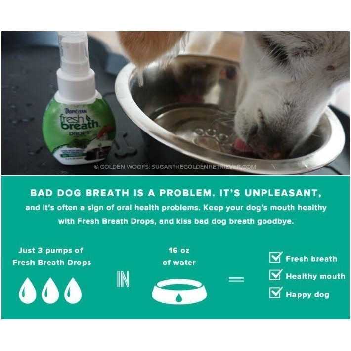 Fresh Breath Drops W826140