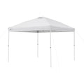 10' x 10' Straight Leg Canopy U242430