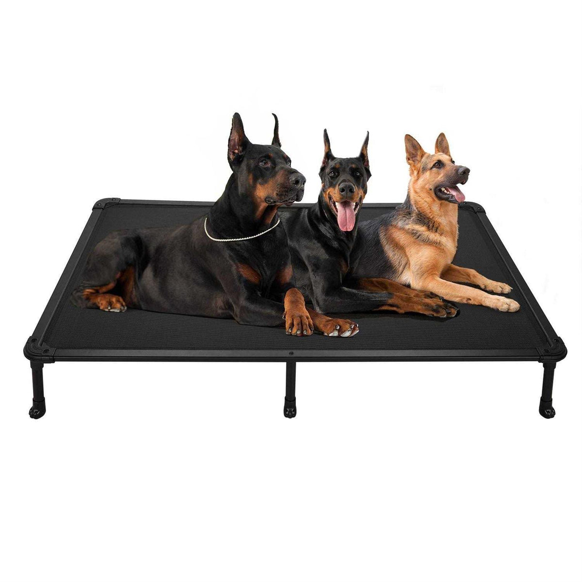 Chew Proof Cooling Raised Dog Bed L734