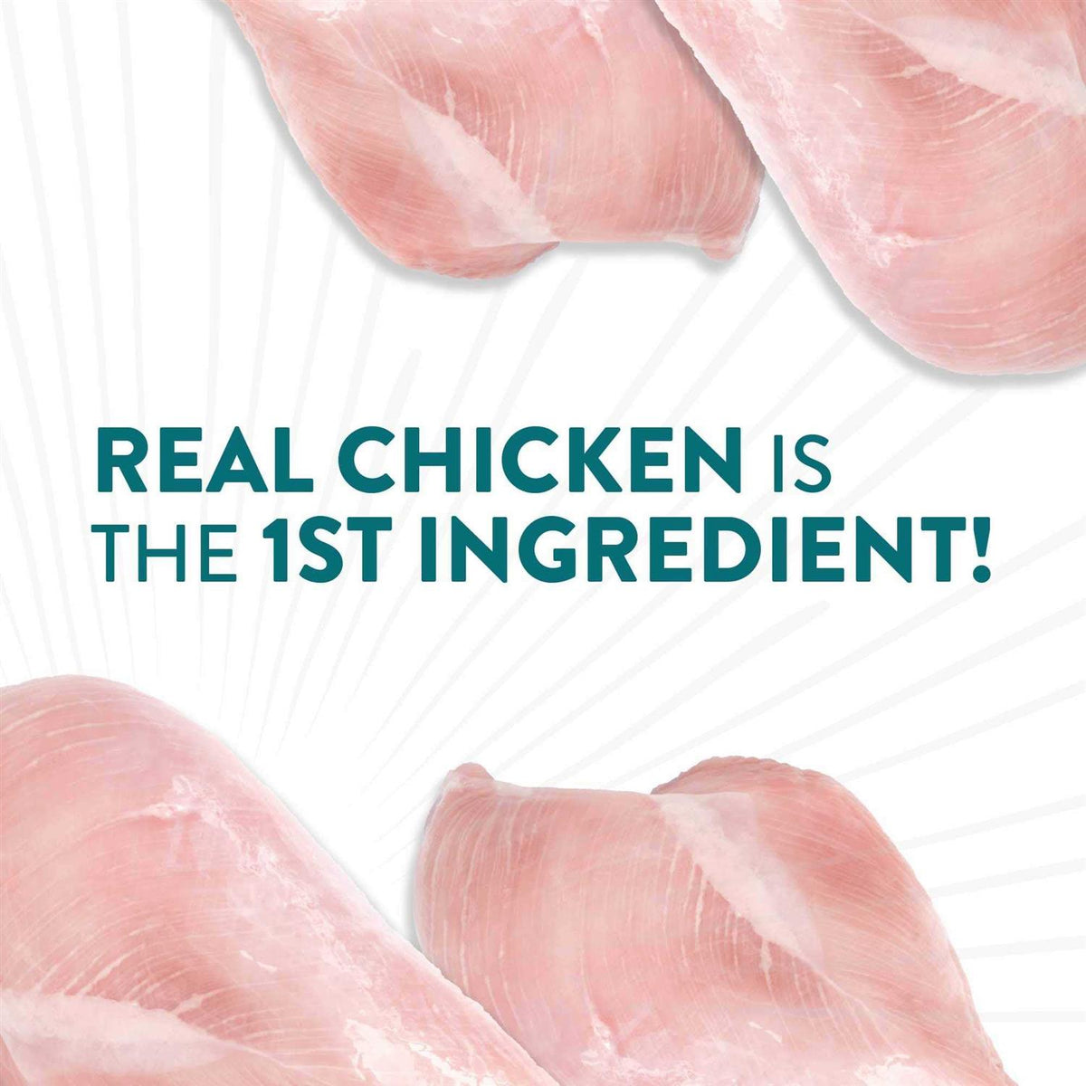 Chicken Dog Treats X8146