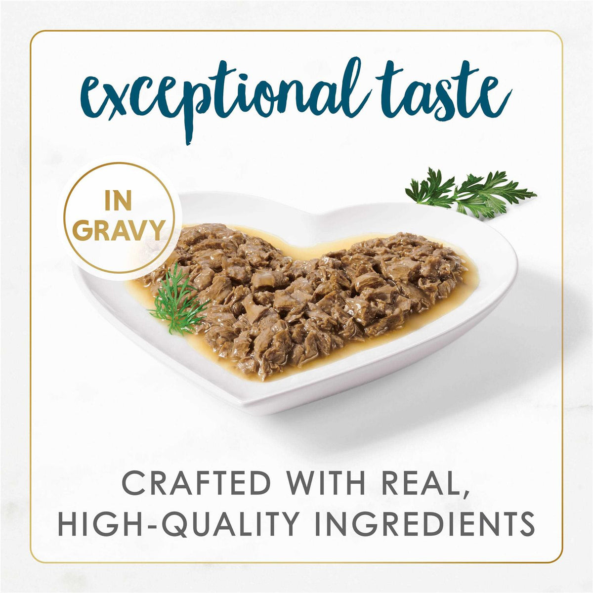 Tuna Recipe in Gravy Wet Cat Food D566