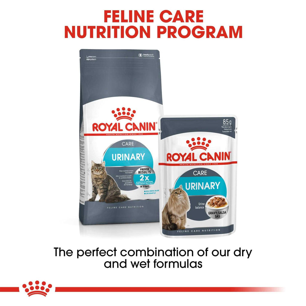 Wet Cat Food C47673